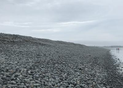rocks piled high on Cherry Hill beach, Nova Scotia; two people walk in the distance.