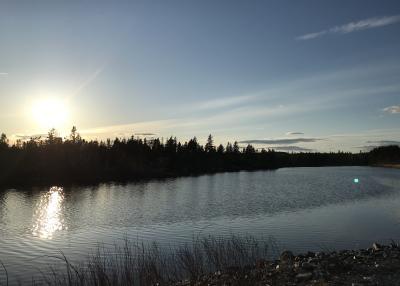 sunset over a pond
