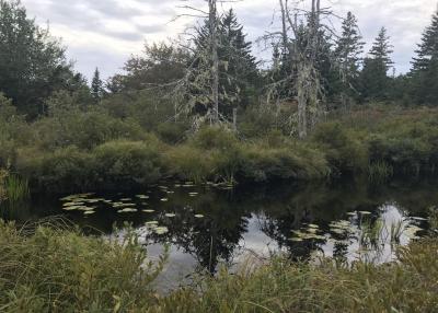 River in Nova Scotia