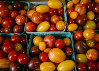 tomatoes